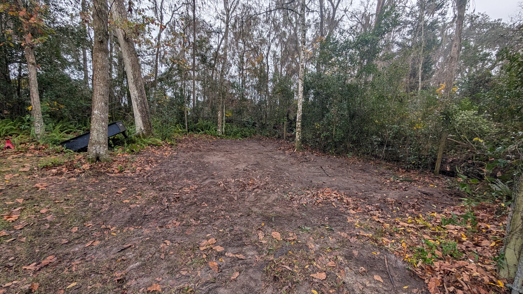 Land after clearing