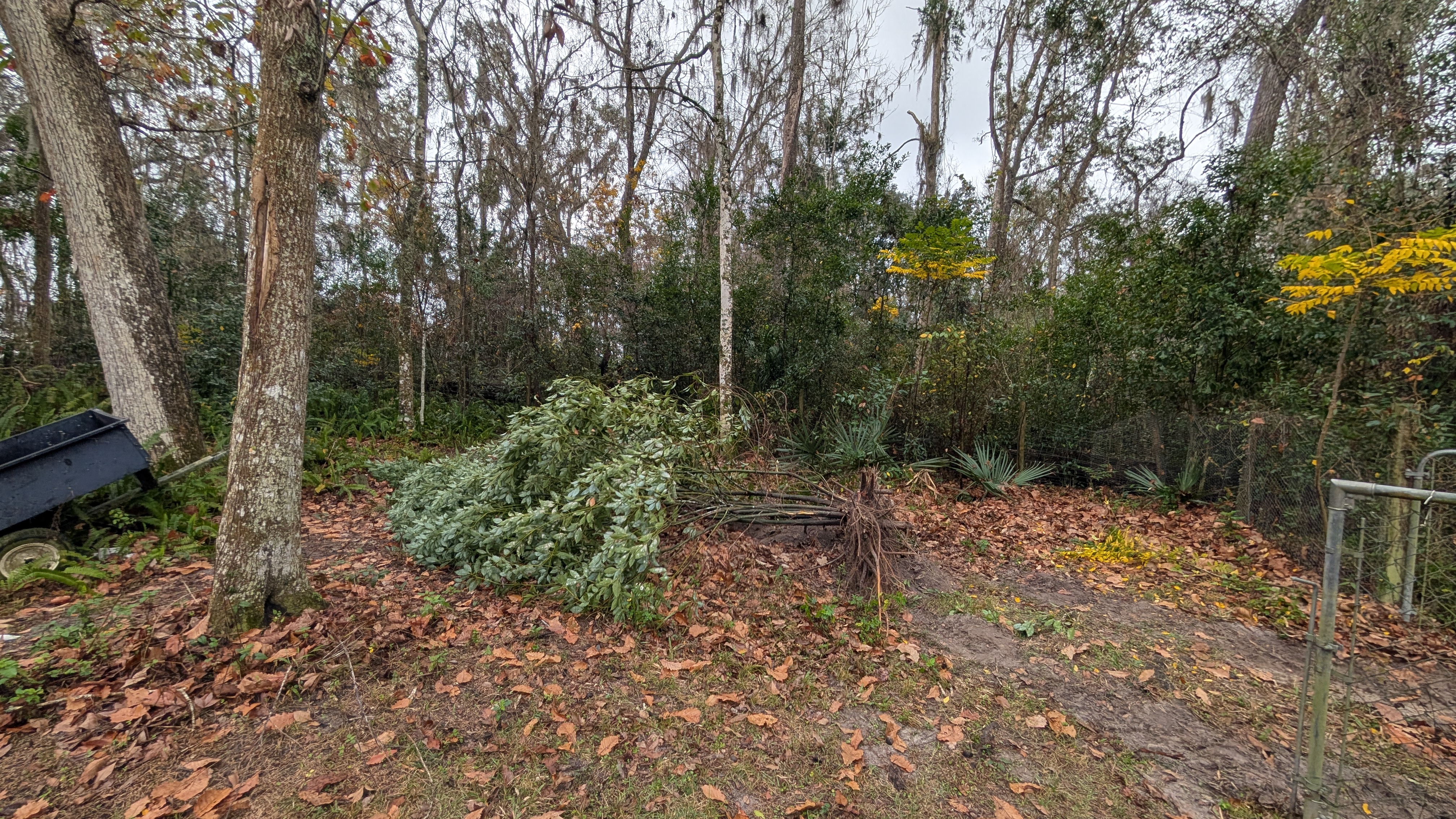 Secondary before view